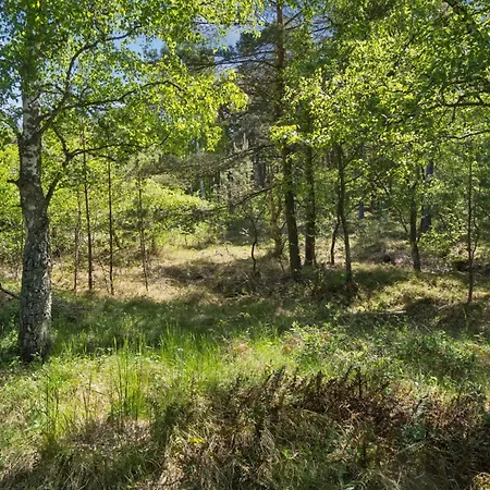 Franja - 120m From The Sea By Interhome Holiday home Vester Somarken